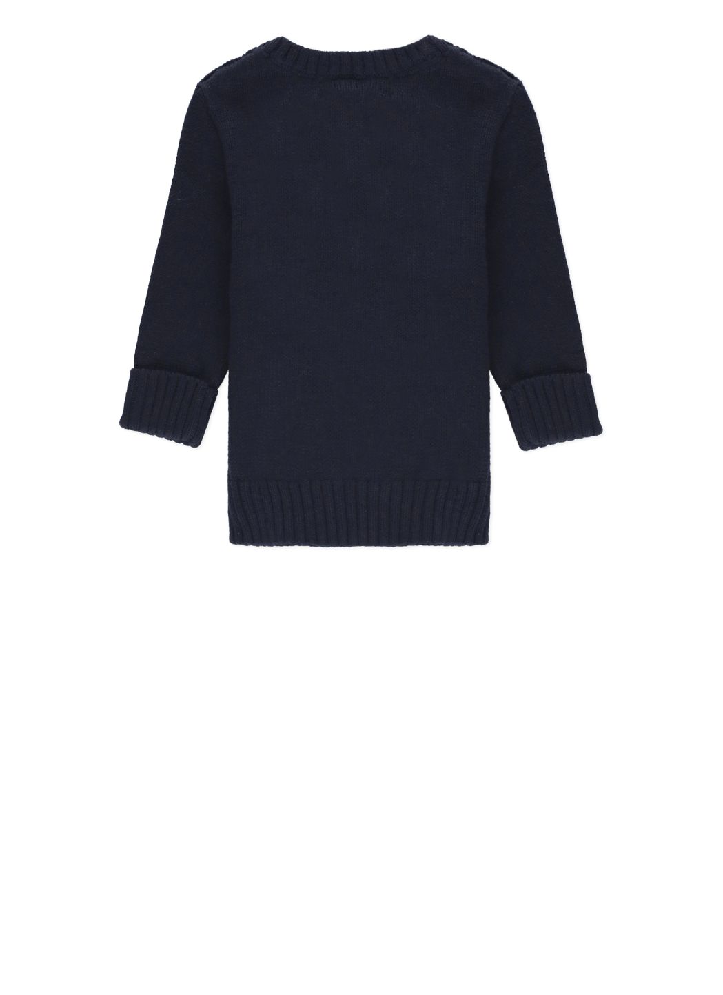 Polo Bear sweater