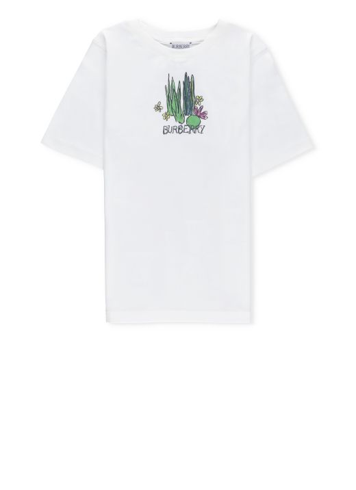 Cedar Pond t-shirt
